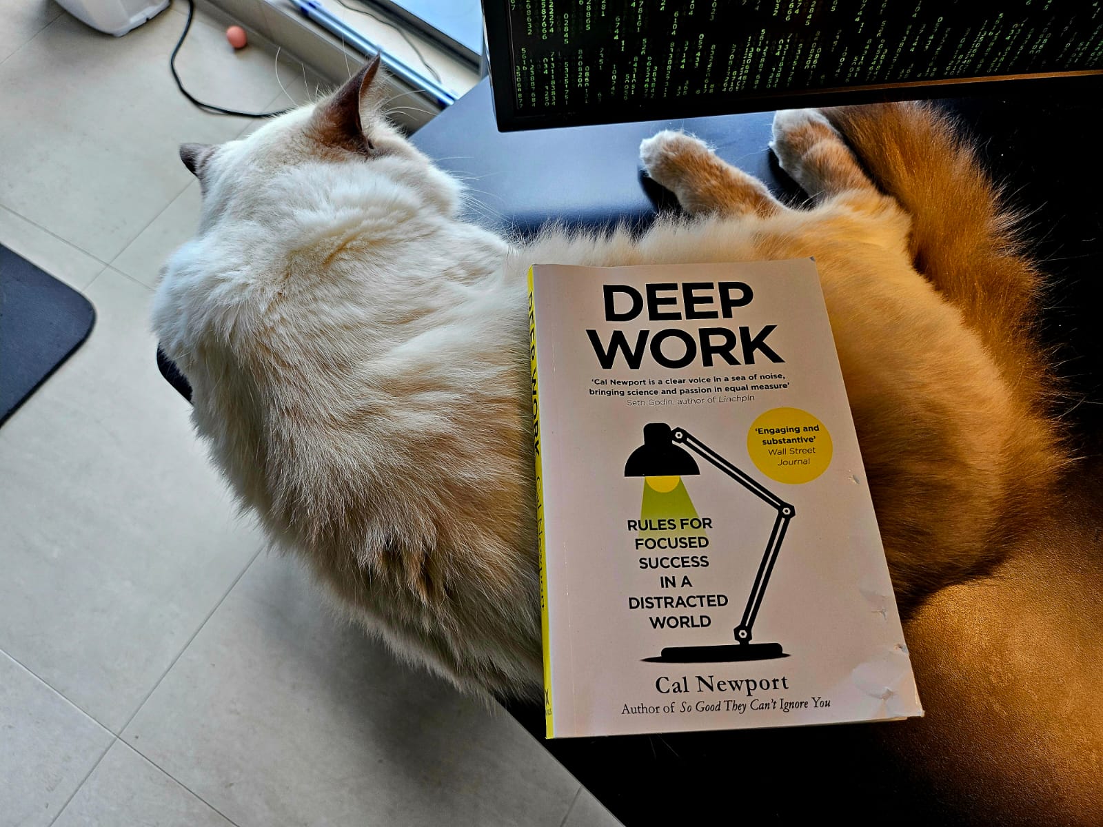 deep-work-book.jpg